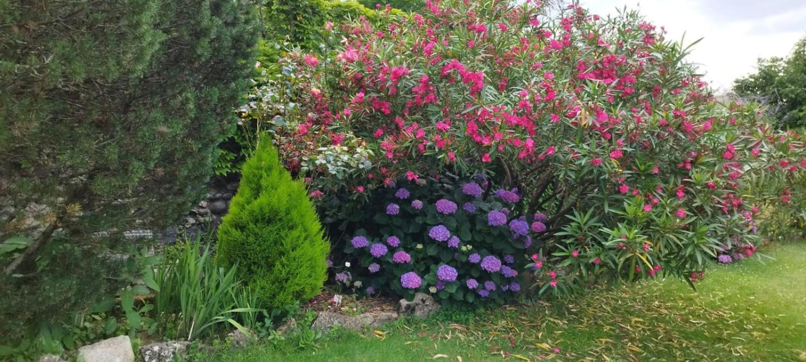 Gite 5 "Le Laurus" Aux Magnolias Aubenas Eksteriør billede
